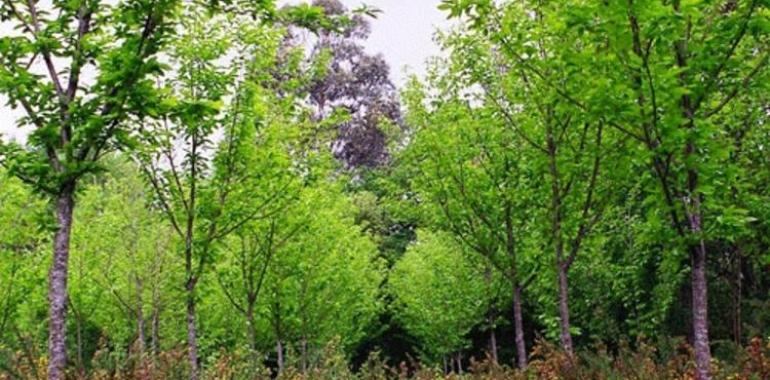 El Debate sobre el cambio climático llega al sector primario