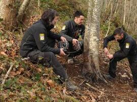 La FOP detecta un foco de trampas furtivas en el Parque Fuentes del Narcea