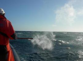 El volcán submarino de El Hierro emite 934 toneladas diarias de CO2