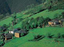Asturias, a la cabeza de las comunidades autónomas en ejecución del  Desarrollo Rural