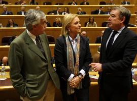 El portavoz del PP en el Senado participa en distintos actos de campaña en Asturias