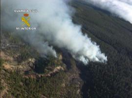 La Guardia Civil detiene al presunto autor del incendio forestal en Las Ubiñas-La Mesa