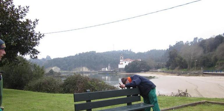 El Taller de Empleo “Desarrollo Territorial V” acondiciona el área recreativa de Niembro y el parque de Poo