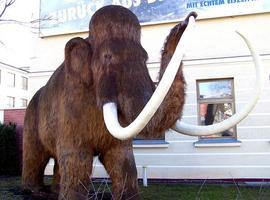 El mamut lanudo volverá sobre la Tierra