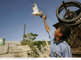  Preocupación por  la violencia sobre los niños en Gaza y Sur de Israel