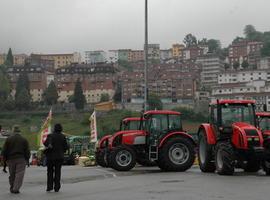 Tineo celebra el lunes la tradicional feria ganadera de San José