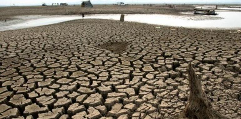 Greenpeace pide un cambio en la política energética del Gobierno para hacer frente a la sequía