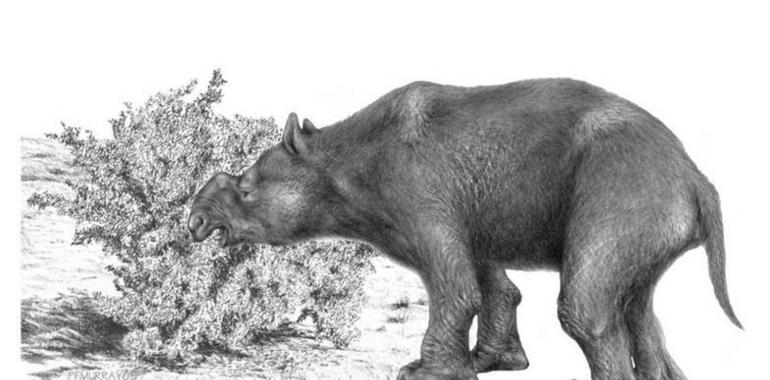 La caza acabó con la megafauna australiana 