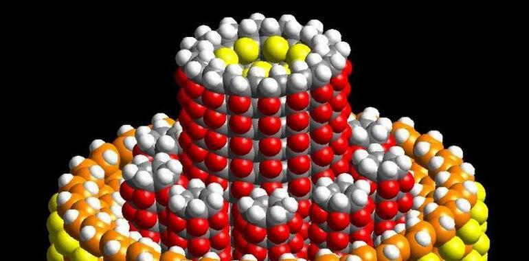 Nanotecnología en la vida cotidiana