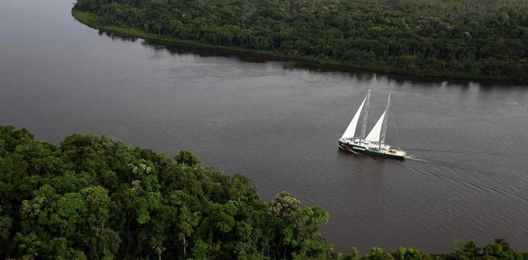 Greenpeace lanza una iniciativa ciudadana para pedir la deforestación cero en Brasil