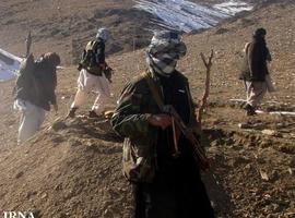 Pakistani Taliban asks MPs not to restore NATO supplies 