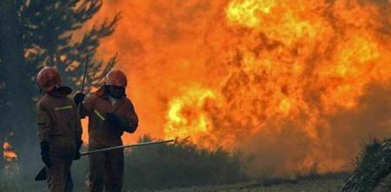 Más de 300 efectivos y medios aéreos luchan contra decenas de incendios forestales en Asturias