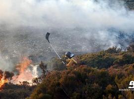 Permanecen activos 84 incendios forestales en Asturias