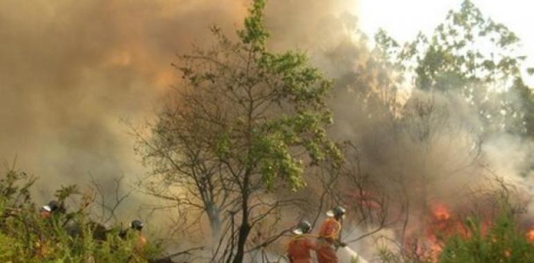 Emergencias ha actuado hoy en 129 incendios forestales en Asturias