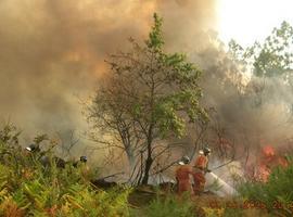 Emergencias ha actuado hoy en 129 incendios forestales en Asturias