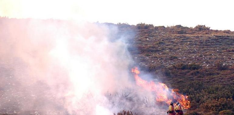 Asturias inicia el viernes con 61 incendios forestales en 22 concejos