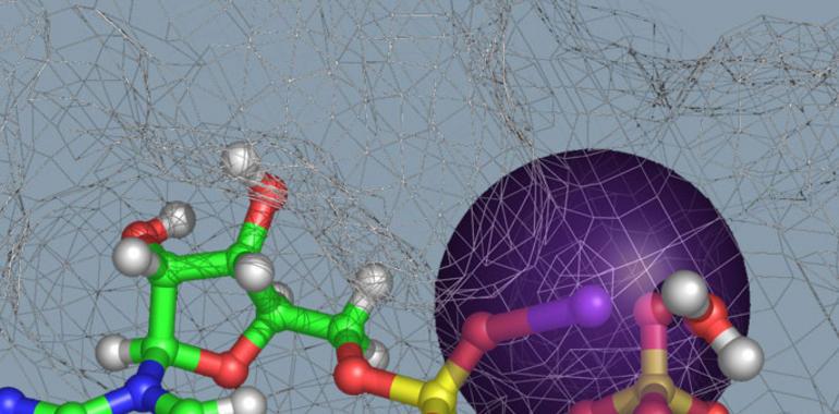 Avanza la lucha contra las infecciones bacterianas 