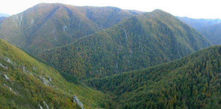 “Senda sonora” gana el primer concurso de intervenciones artísticas en la naturaleza en Asturias