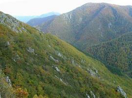 “Senda sonora” gana el primer concurso de intervenciones artísticas en la naturaleza en Asturias