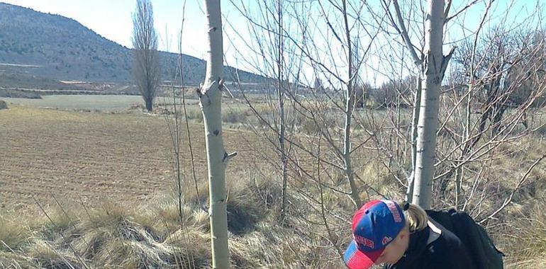 Voluntarios contribuyen a la restauración medioambiental del bosque de ribera del río Alhárabe 