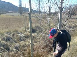 Voluntarios contribuyen a la restauración medioambiental del bosque de ribera del río Alhárabe 