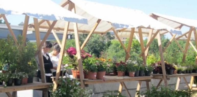 BioJornadas en el Jardín Botánico Atlántico de Gijón