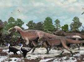 Se descubre el dinosaurio con plumas más grande de la historia