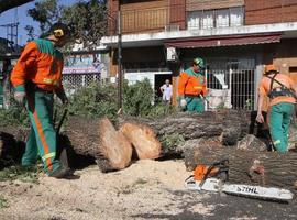 Buenos Aires trabaja denodadamente para volver a la normalidad tras el violento temporal