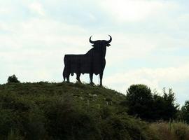 Detienen a tres personas haciendo un grafiti en el Toro de Osborne de Parres