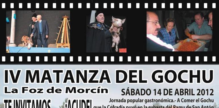 la Cofradía de los Nabos celebra el sábado la Matanza del gochu