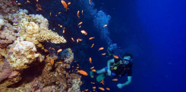 Buceo: El Gran Agujero Azul de Belize