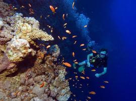 Buceo: El Gran Agujero Azul de Belize