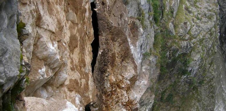 Un argayu tapona la senda del Cares y paraliza la Central Eléctrica de Camarmeña