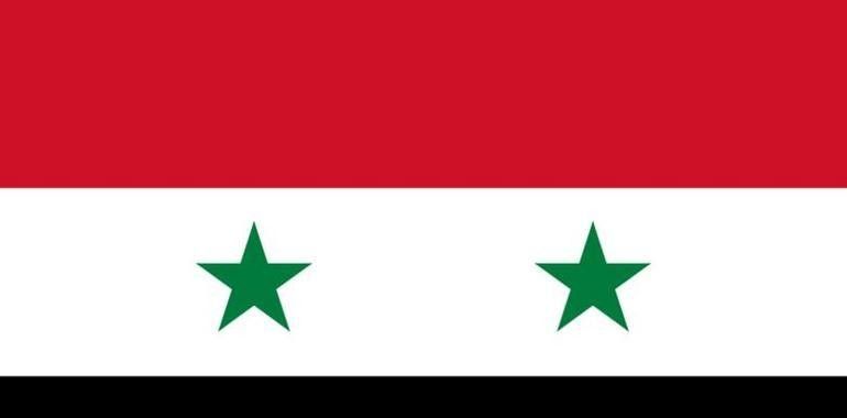 Siria y la forma de la Misión de ONU