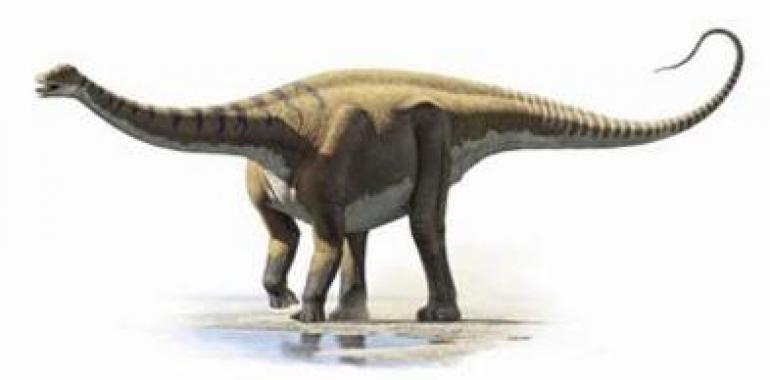 Catalogan una nueva especie de dinosaurio