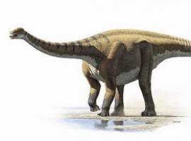 Catalogan una nueva especie de dinosaurio
