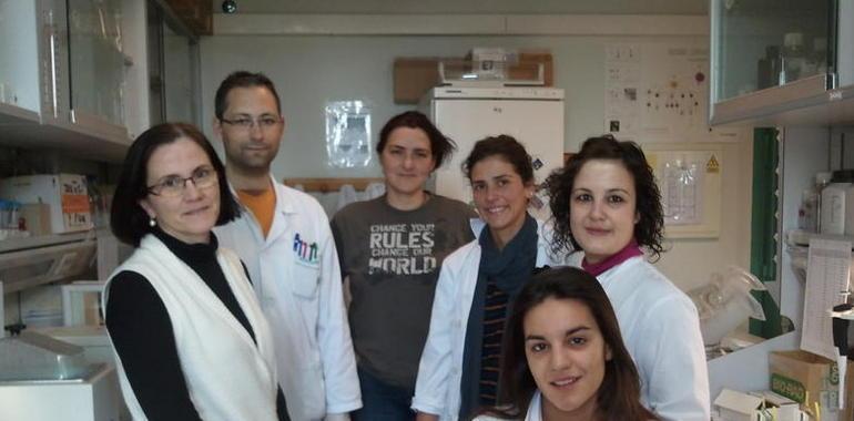 Una investigación muestra el potencial terapéutico del ácido oleanólico, presente en el olivo