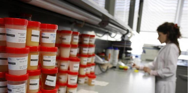 Péptidos españoles para la alta cosmética