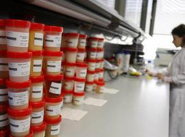 Péptidos españoles para la alta cosmética