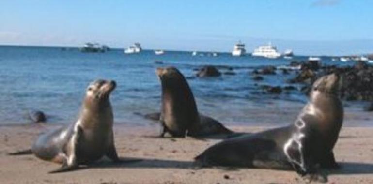 El Observatorio de Turismo de Galápagos cumple un año de trabajo