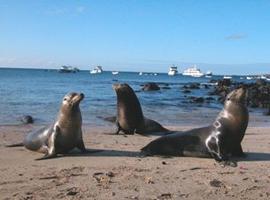El Observatorio de Turismo de Galápagos cumple un año de trabajo