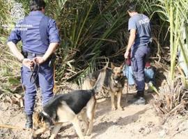 La Policía Nacional pone en marcha la Sección de Análisis de Conducta 