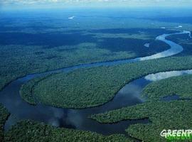 La deforestación de la Amazonia por la puerta trasera