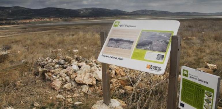 Cinco años en la conservación de la Laguna de Gallocanta