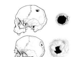 Investigadores de Oviedo y León encuentran en Soria dos cráneos trepanados de la Edad Media