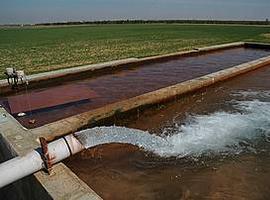 Ecologistas califican de \"atentado del Gobierno a la protección del medio ambiente\" el reciente RD Ley