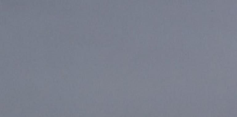 Alemania desea mejorar la situación de los presos Palestinos 