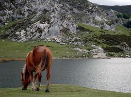 Alumnos andaluces, madrileños y navarros de 5º y 6º de Primaria visitan Asturias con “Escuelas Viajeras”