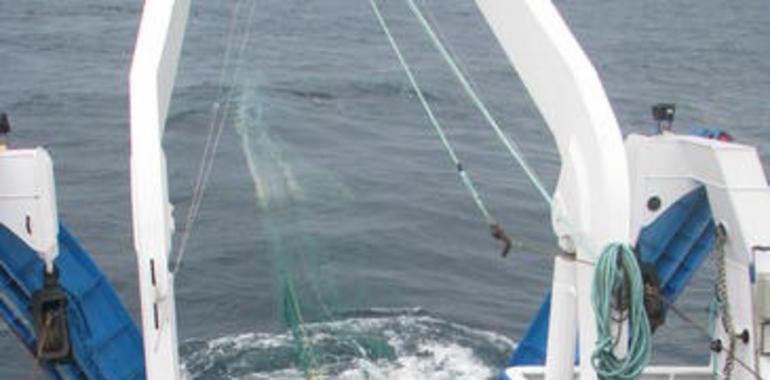"Bioman" contará la población de anchoa en el golfo de Vizcaya