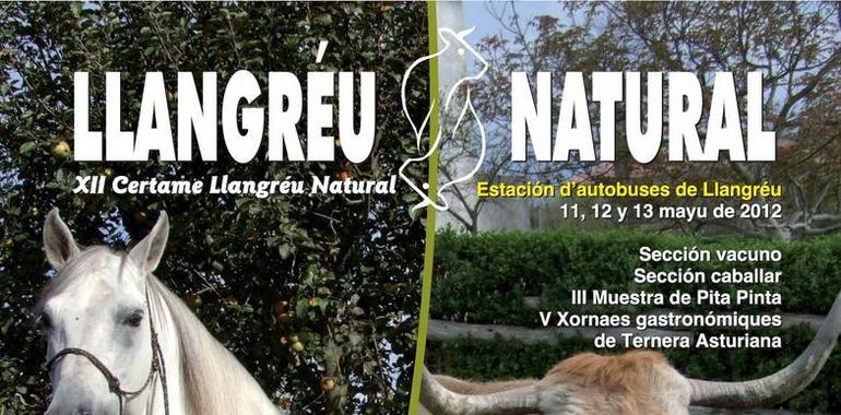 XII Certamen “Llangréu Natural” y Muestra de la Pita Pinta